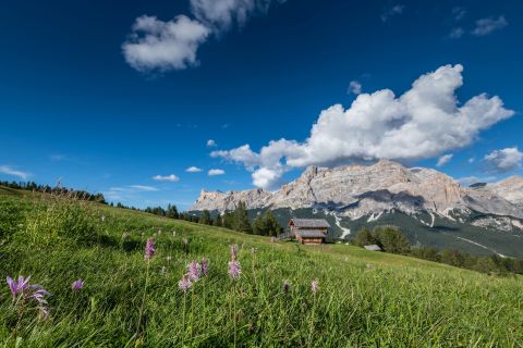 Vacanze in Alta Badia Immagine: Alta Badia
